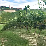 شقة Casa Frutteto Private Garden In Monferrato