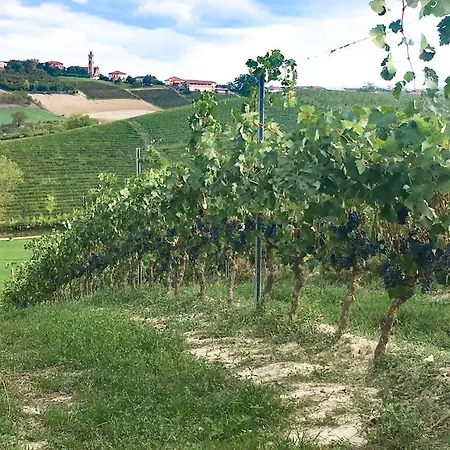 Апартаменты Casa Frutteto Private Garden In Monferrato
